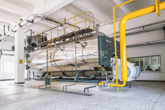 6噸WNS冷凝式燃?xì)庹羝仩t項目