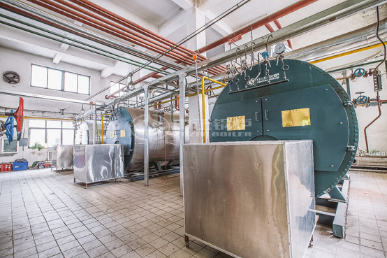 4噸WNS冷凝式燃氣蒸汽鍋爐項目